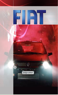 103307:173980:Fiat Auto Partecipazioni  Fiat