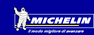 226379:332889:Michelin Italiana SAMI S p A